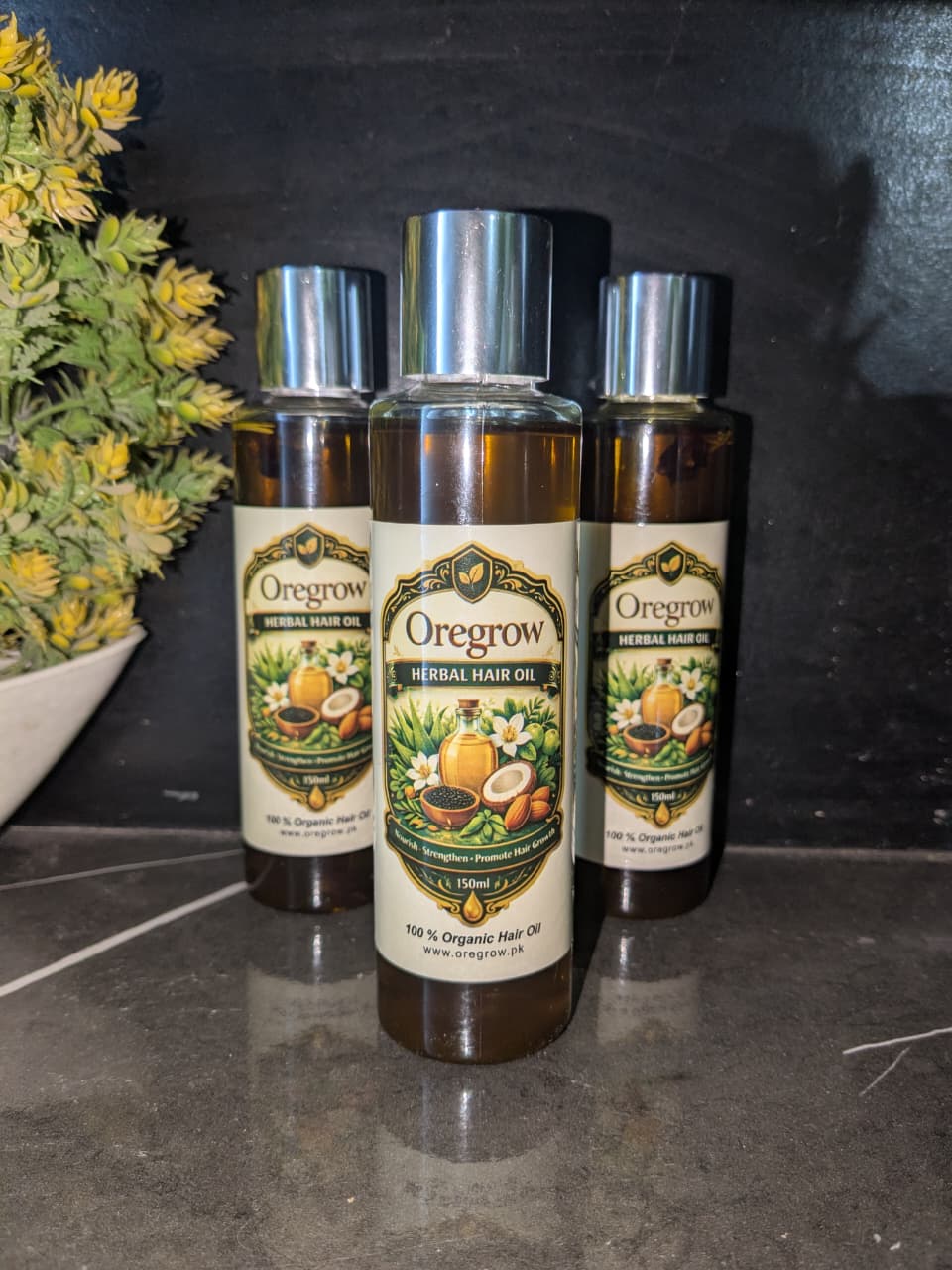 WhatsApp Image 2026-03-12 at 11.46.56 PM (1)