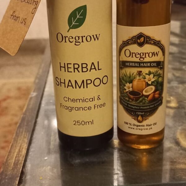 WhatsApp Image 2026-03-12 at 11.46.19 PM (1)