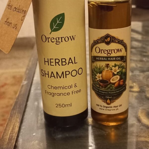 WhatsApp Image 2026-03-12 at 11.46.19 PM (2)