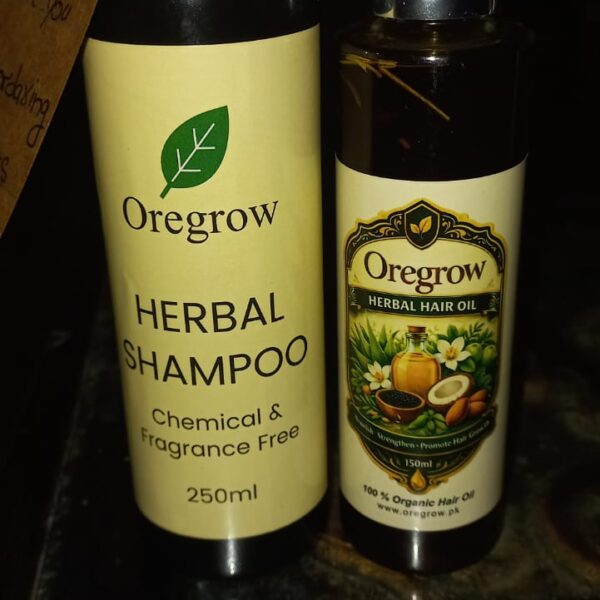 WhatsApp Image 2026-03-12 at 11.46.19 PM