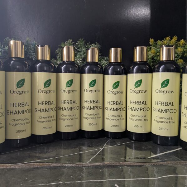 WhatsApp Image 2026-03-12 at 11.47.06 PM