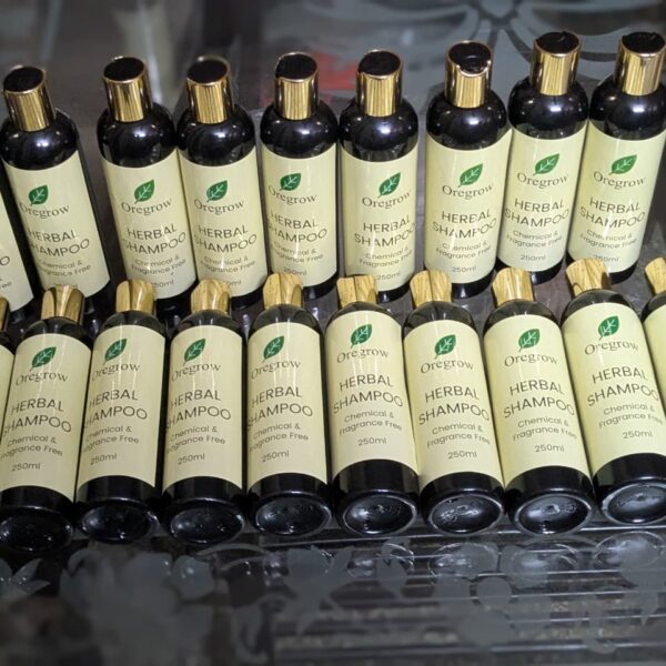 WhatsApp Image 2026-03-12 at 11.47.07 PM (1)